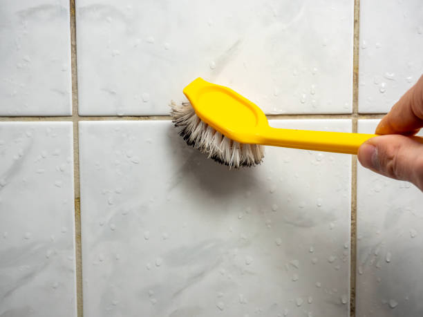 Best Mold Inspection  in Whitinsville, MA