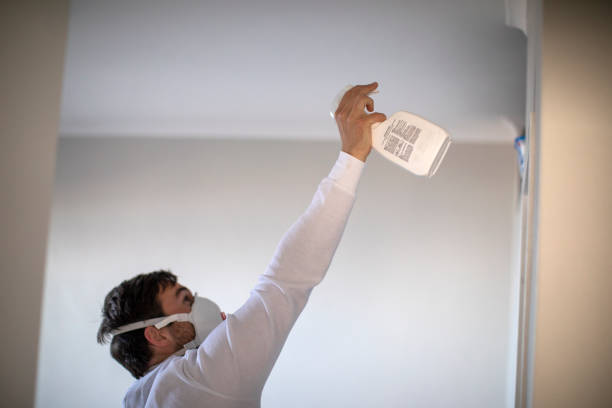 Best Local Mold Removal Service  in Whitinsville, MA