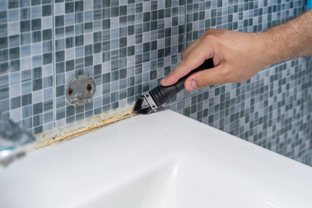 Best Residential Mold Removal  in Whitinsville, MA
